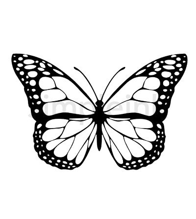 Mariposa Schmetterling