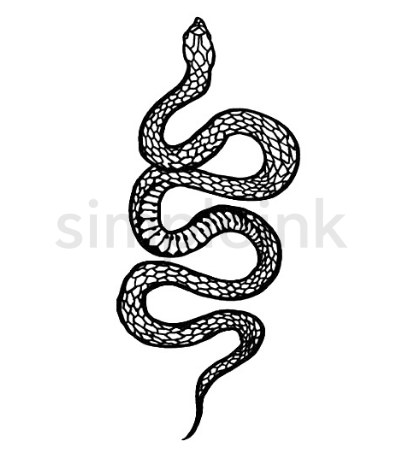 Blackie Snake (Large)