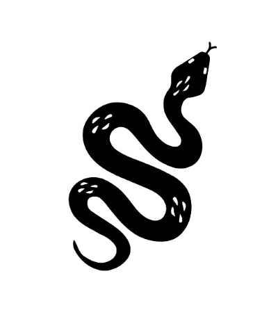 Small Snake