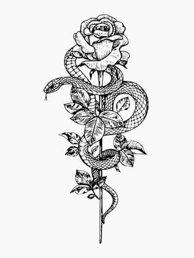 232 Rose Snake